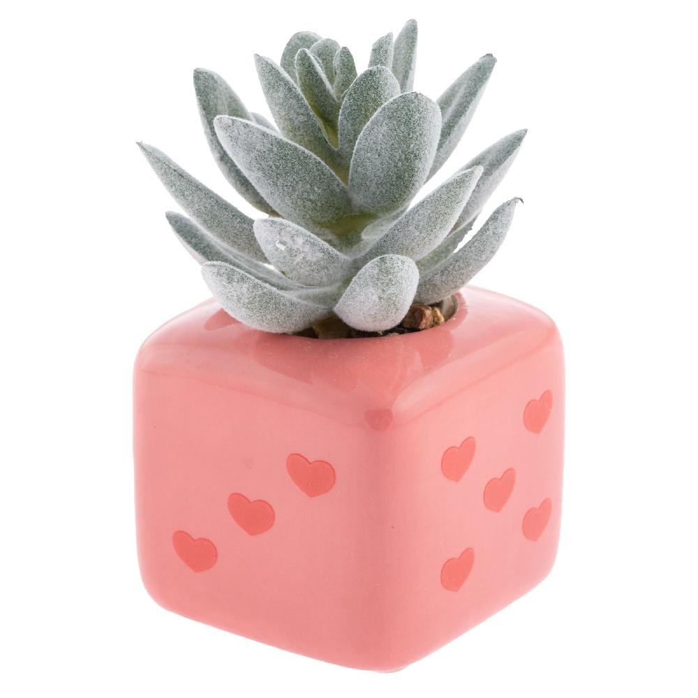 karma gifts Heart Dice Shaped Succulent Pot
