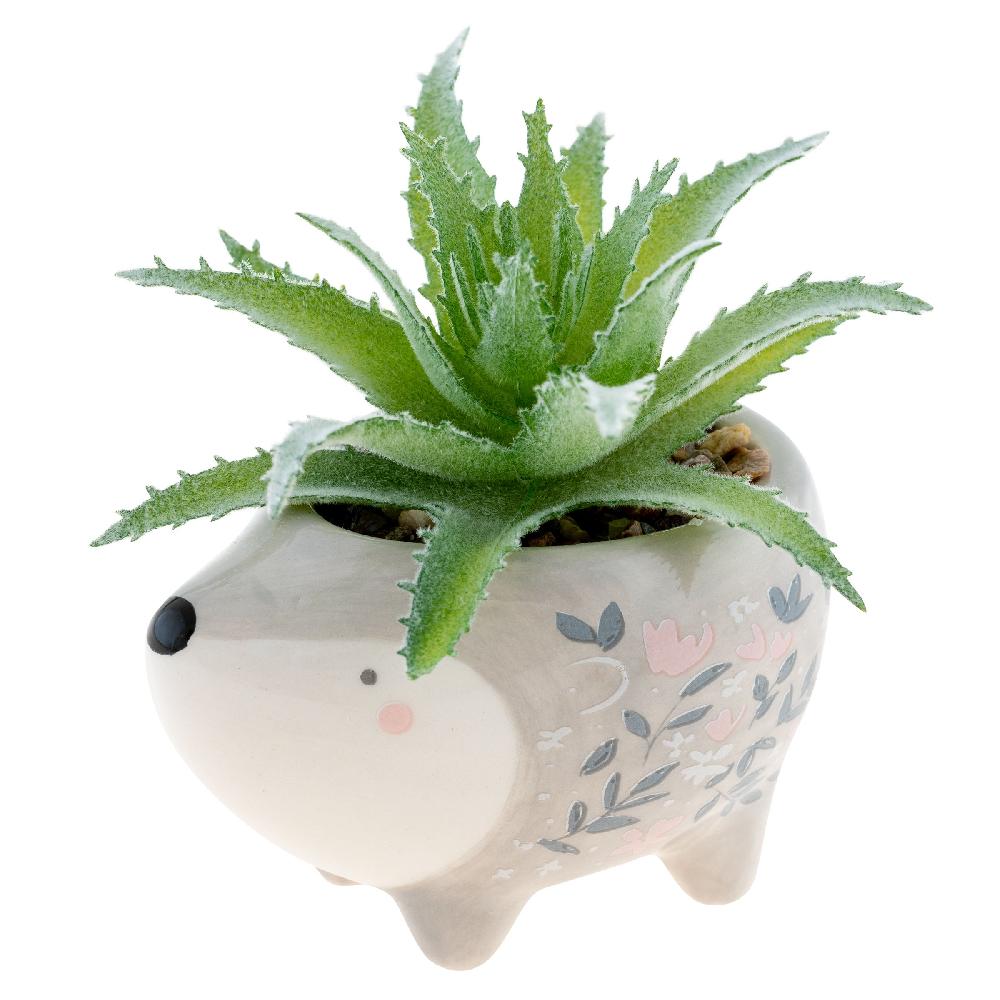 karma gifts Hedgehog Shaped Succulent Pot
