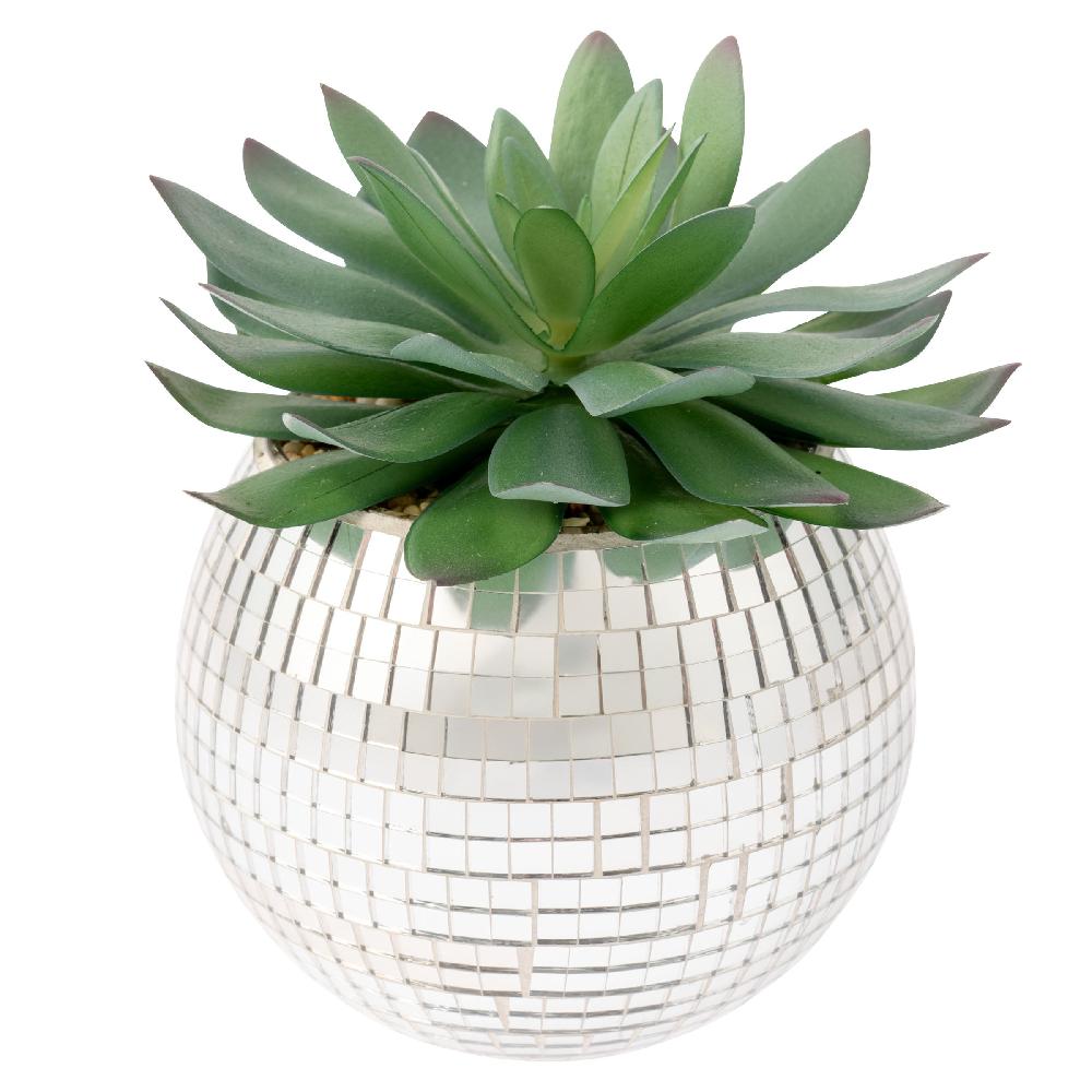 karma gifts Large Disco Succulent Pot