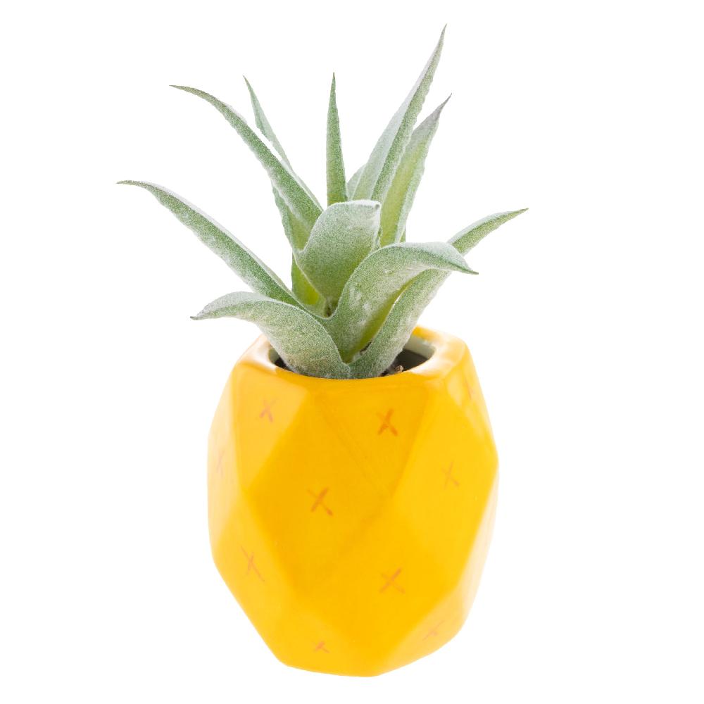 karma gifts Pineapple Shaped Succulent Pot