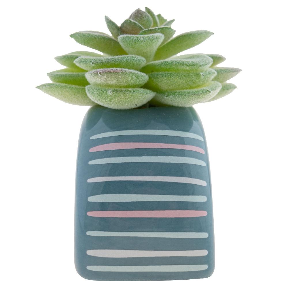 Karma Gifts Rainbow Shaped Succulent Pot