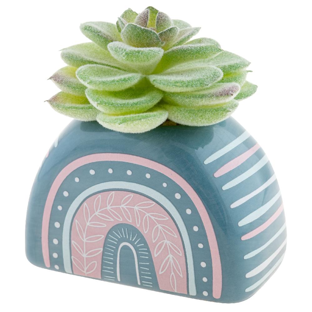 karma gifts Rainbow Shaped Succulent Pot