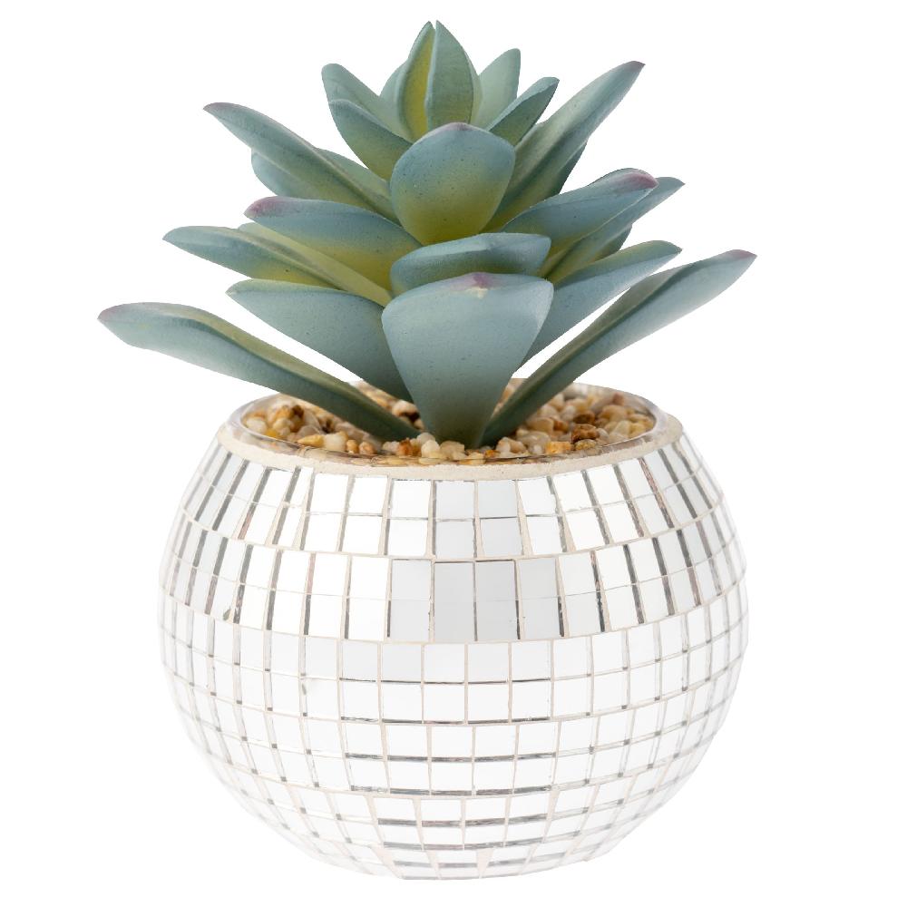 karma gifts Small Disco Succulent Pot