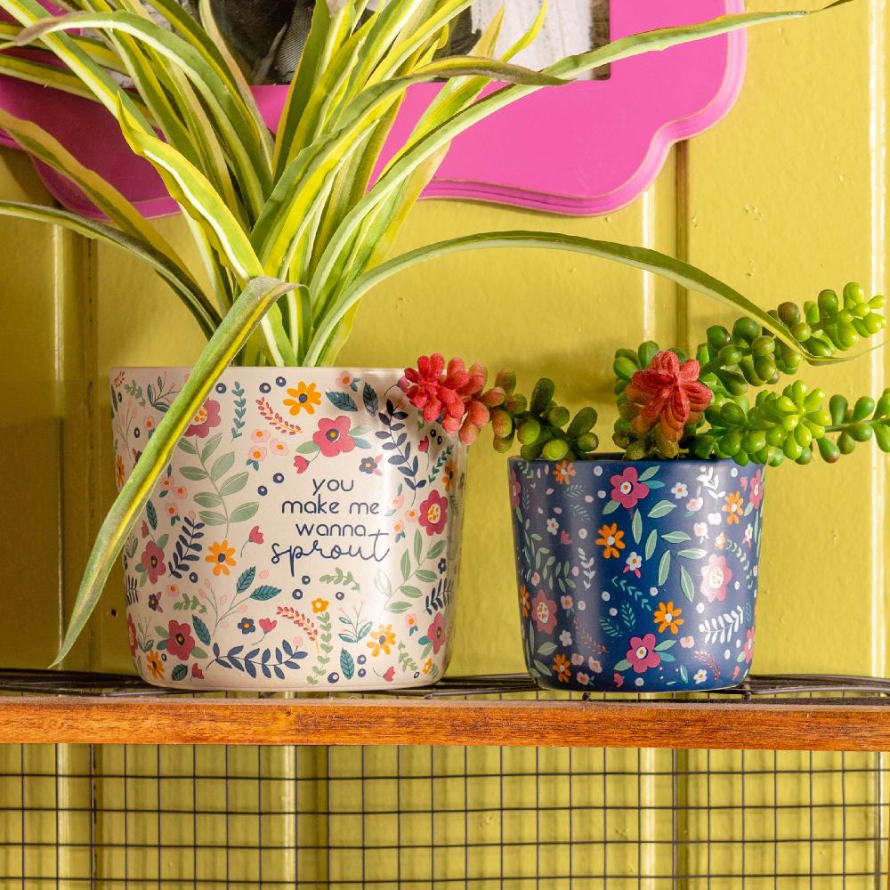 Karma Gifts Sprout Ceramic Planters