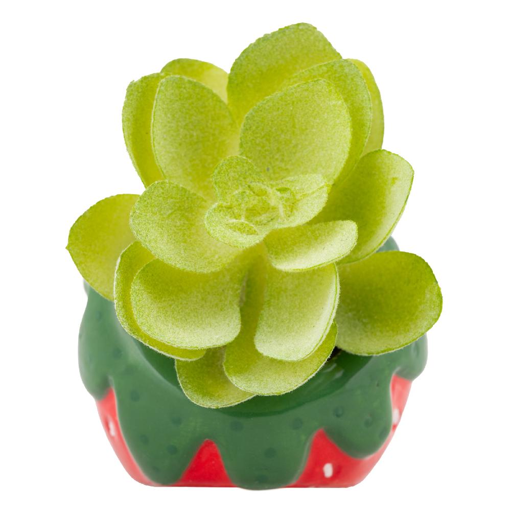 Karma Gifts Strawberry Shaped Succulent Pot