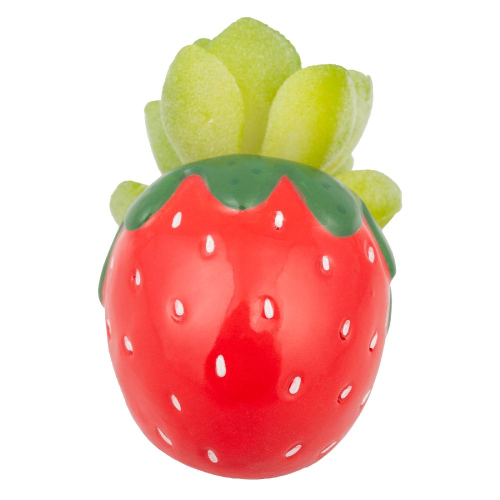 Karma Gifts Strawberry Shaped Succulent Pot