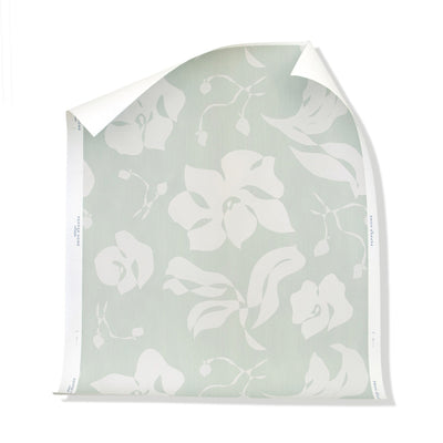 Kassatex Pepper Home Georgia Mint Wallpaper