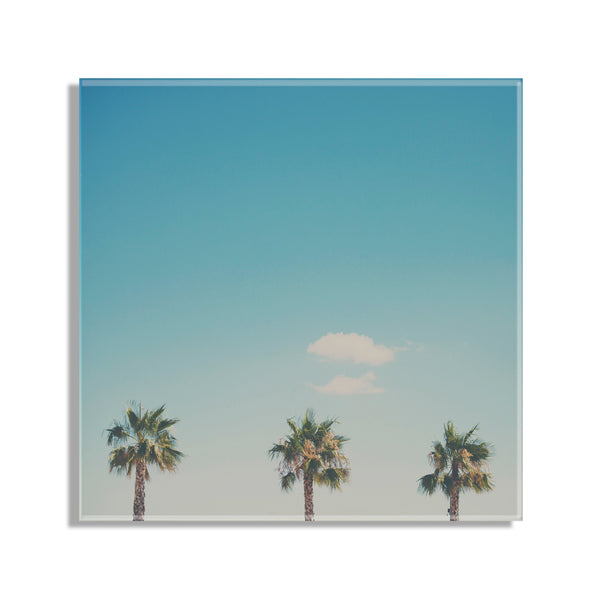 Kate & Laurel A Trio Of Palm Trees Floating Acrylic Art By Laura Evans