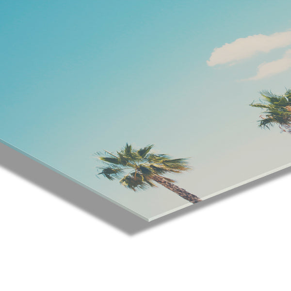 Kate & Laurel A Trio Of Palm Trees Floating Acrylic Art By Laura Evans