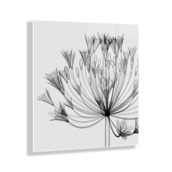 kate & laurel Bell Agapanthus X Ray Floral Floating Acrylic Art by The Creative Bunch Studio