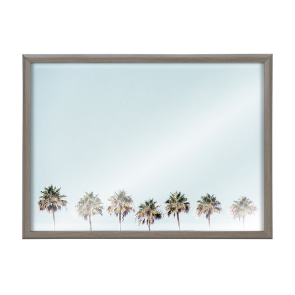 Kate & Laurel Blake 7 Palms Framed Printed Glass By Simon Te Of Tai Prints