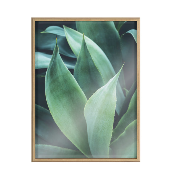 Kate & Laurel Blake Agave II Framed Printed Art By Emiko And Mark Franzen Of F2Images