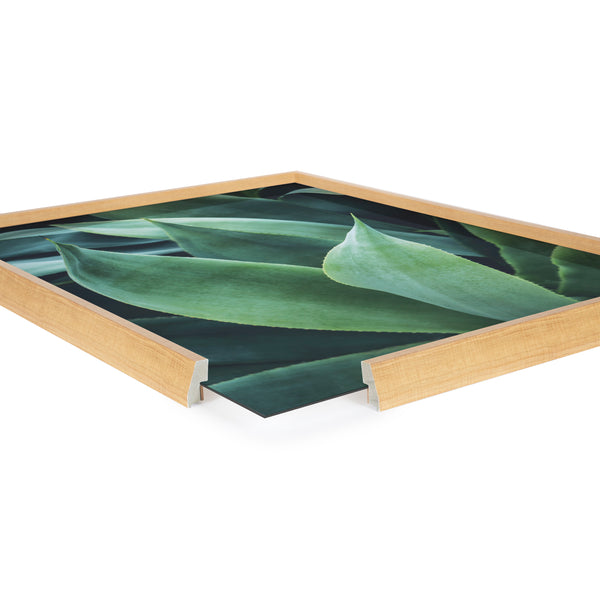 Kate & Laurel Blake Agave II Framed Printed Art By Emiko And Mark Franzen Of F2Images