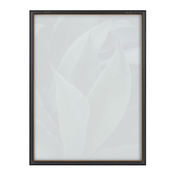 Kate & Laurel Blake Agave II Framed Printed Art By Emiko And Mark Franzen Of F2Images