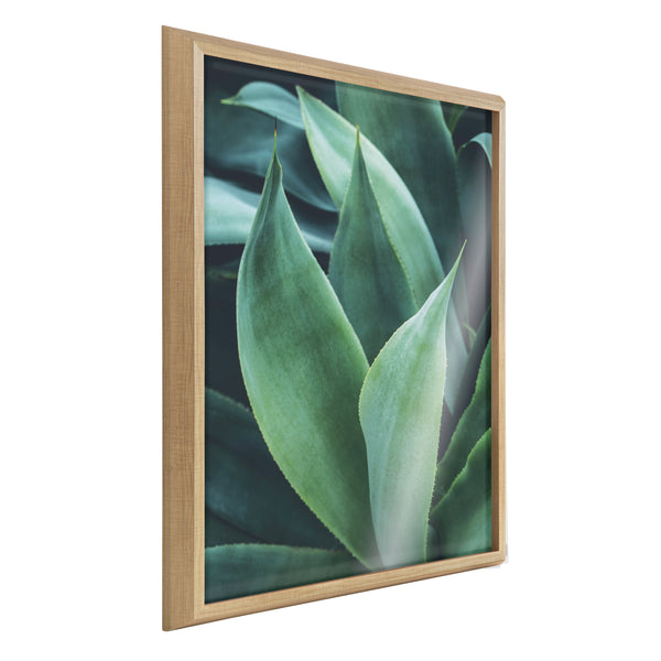 kate & laurel Blake Agave II Framed Printed Art by Emiko and Mark Franzen of F2Images