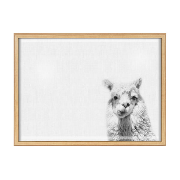 Kate & Laurel Blake Alpaca Framed Printed Glass By Simon Te Of Tai Prints