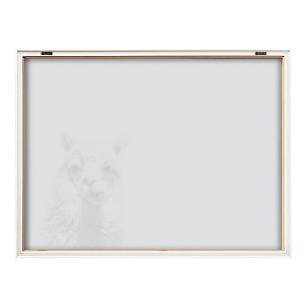 Kate & Laurel Blake Alpaca Framed Printed Glass By Simon Te Of Tai Prints