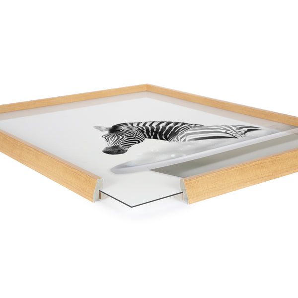 Kate & Laurel Blake Bathroom Bubble Bath Zebra Framed Printed Glass By The Creative Bunch Studio