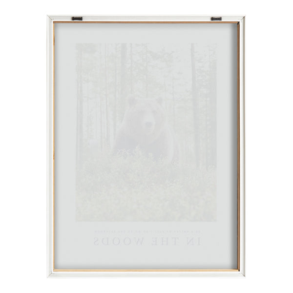 Kate & Laurel Blake Bathroom In The Woods Framed Printed Glass By The Creative Bunch Studio
