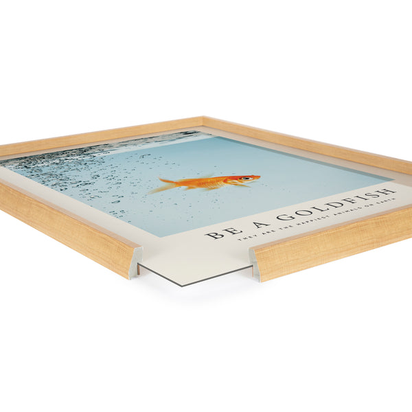 Kate & Laurel Blake Be A Goldfish Framed Printed Glass By The Creative Bunch Studio