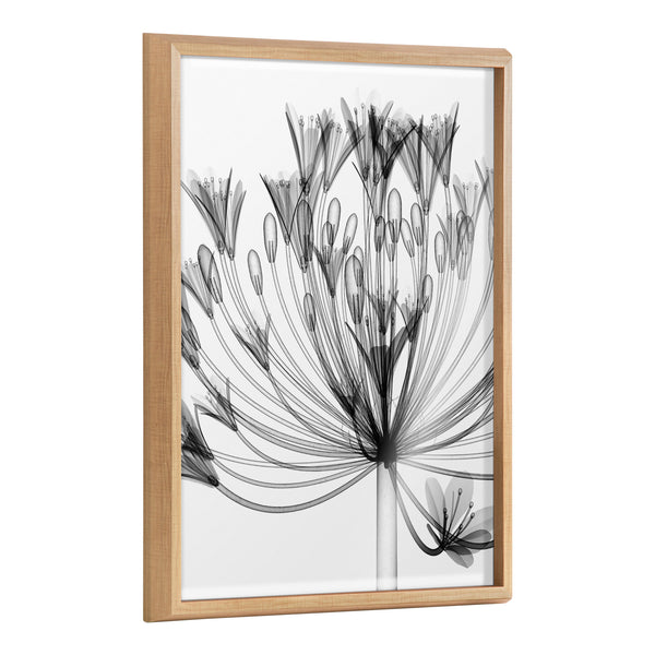 Kate & Laurel Blake Bell Agapanthus X Ray Floral BW Framed Printed Art By The Creative Bunch Studio