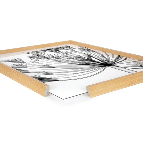 Kate & Laurel Blake Bell Agapanthus X Ray Floral BW Framed Printed Art By The Creative Bunch Studio