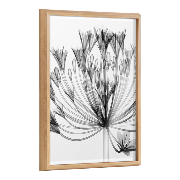 kate & laurel Blake Bell Agapanthus X Ray Floral BW Framed Printed Art by The Creative Bunch Studio