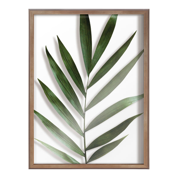 Kate & Laurel Blake Botanical 5F Framed Printed Glass By Amy Peterson