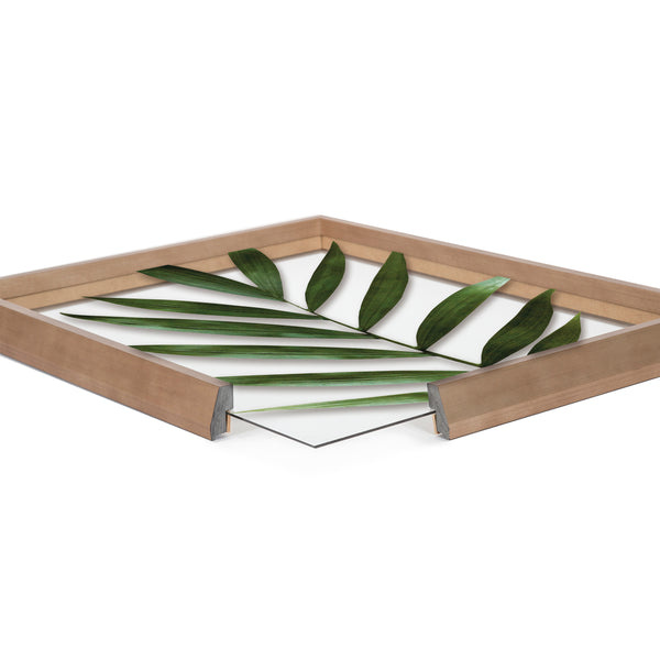 Kate & Laurel Blake Botanical 5F Framed Printed Glass By Amy Peterson