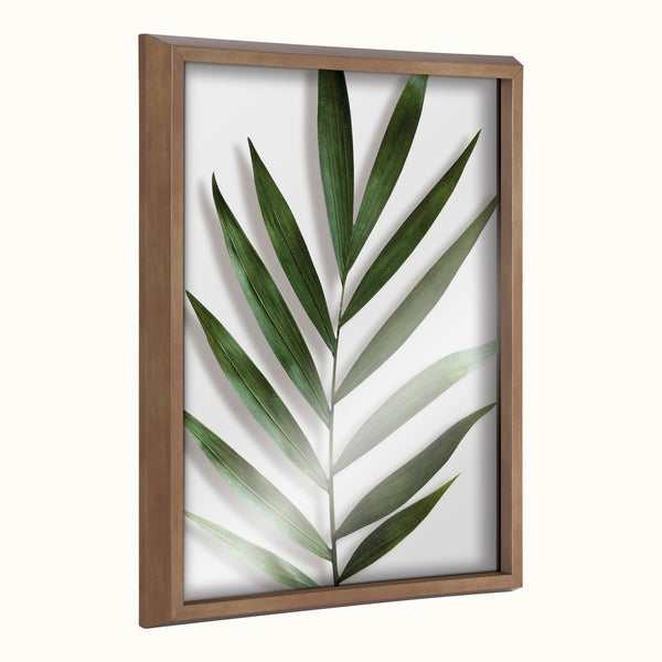 kate & laurel Blake Botanical 5F Framed Printed Glass by Amy Peterson