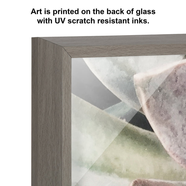 Kate & Laurel Blake Botanical Succulent Plants 1 Framed Printed Glass By The Creative Bunch Studio