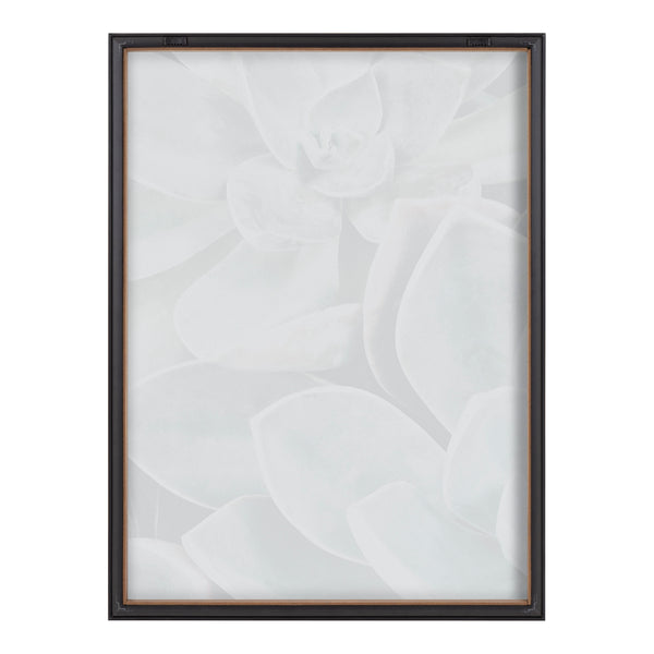 Kate & Laurel Blake Botanical Succulent Plants 1 Framed Printed Glass By The Creative Bunch Studio