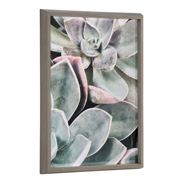 kate & laurel Blake Botanical Succulent Plants 1 Framed Printed Glass by The Creative Bunch Studio