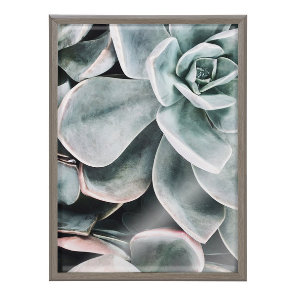 Kate & Laurel Blake Botanical Succulent Plants 2 Framed Printed Glass By The Creative Bunch Studio