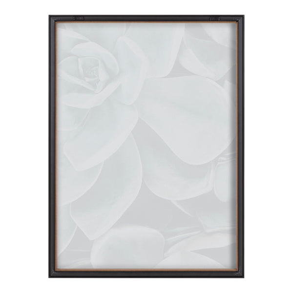 Kate & Laurel Blake Botanical Succulent Plants 2 Framed Printed Glass By The Creative Bunch Studio