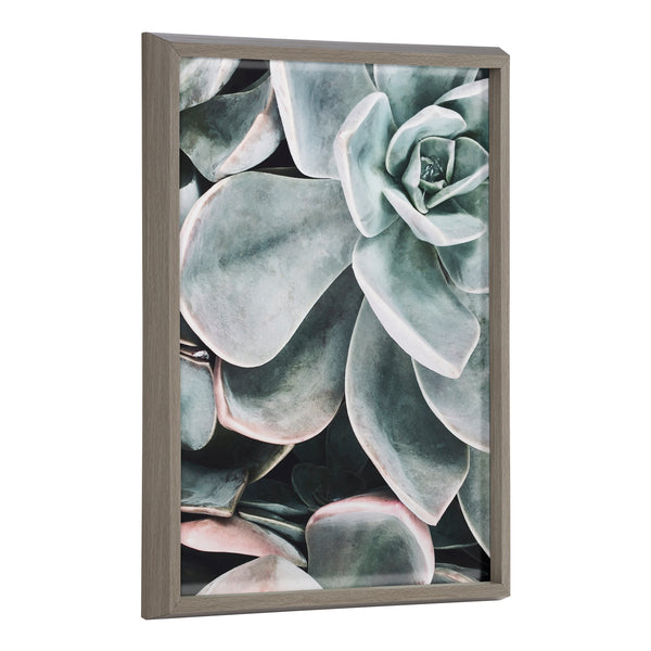 kate & laurel Blake Botanical Succulent Plants 2 Framed Printed Glass by The Creative Bunch Studio