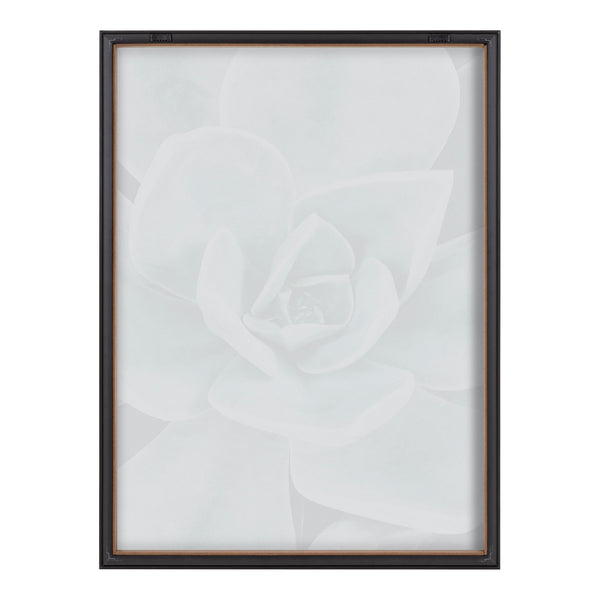 Kate & Laurel Blake Botanical Succulent Plants 3 Framed Printed Glass By The Creative Bunch Studio