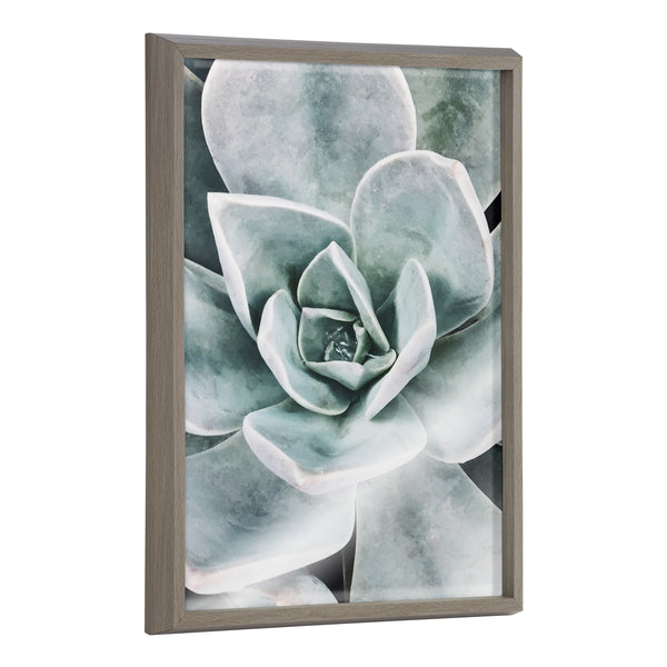 kate & laurel Blake Botanical Succulent Plants 3 Framed Printed Glass by The Creative Bunch Studio
