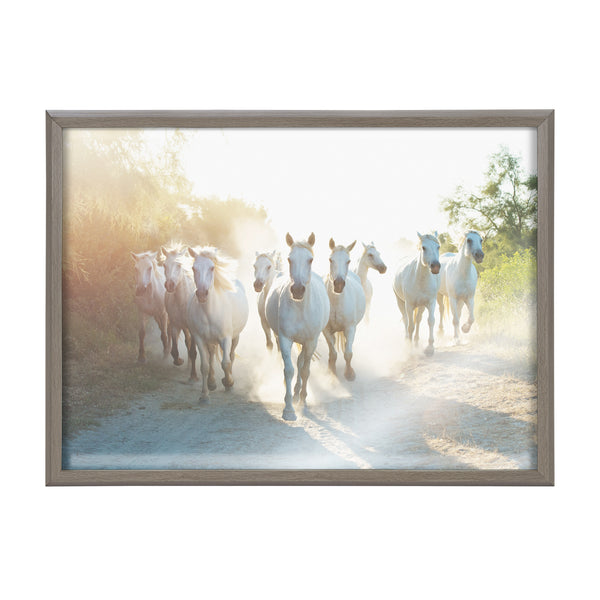 Kate & Laurel Blake Camargue Horse XIII Framed Printed Glass By Laura Evans