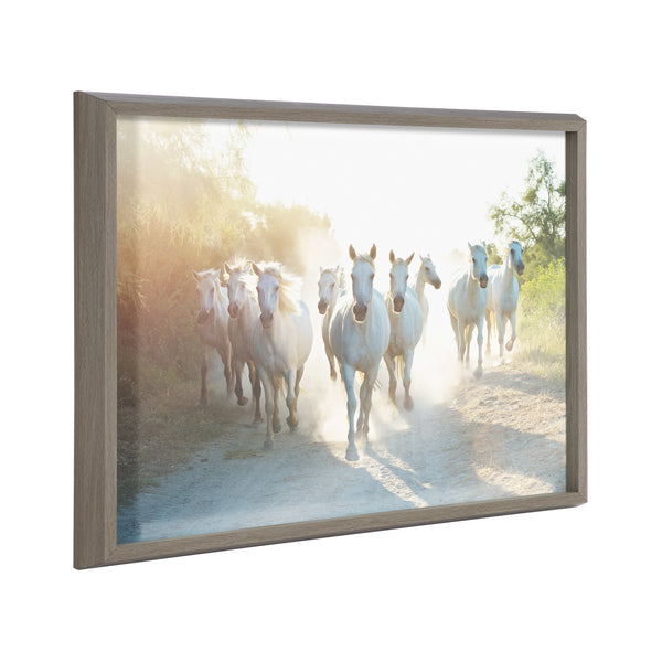 kate & laurel Blake Camargue Horse XIII Framed Printed Glass by Laura Evans