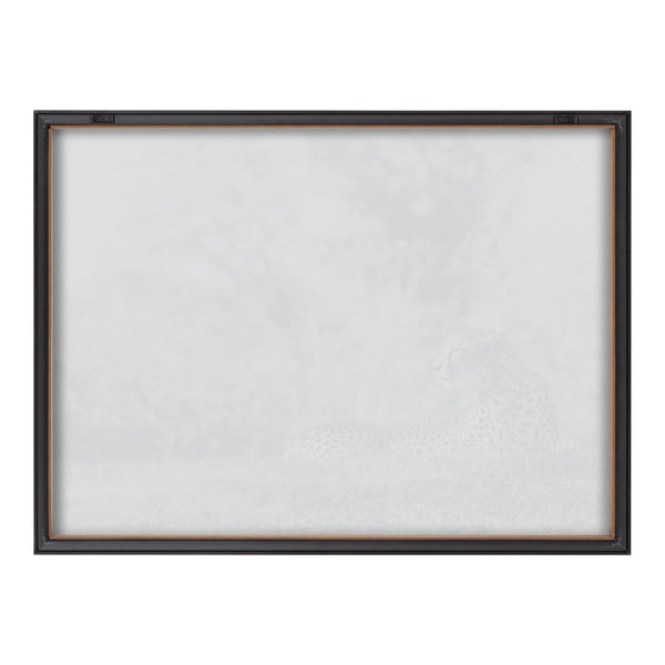 Kate & Laurel Blake Cheetah Framed Printed Glass By Alicia Abla