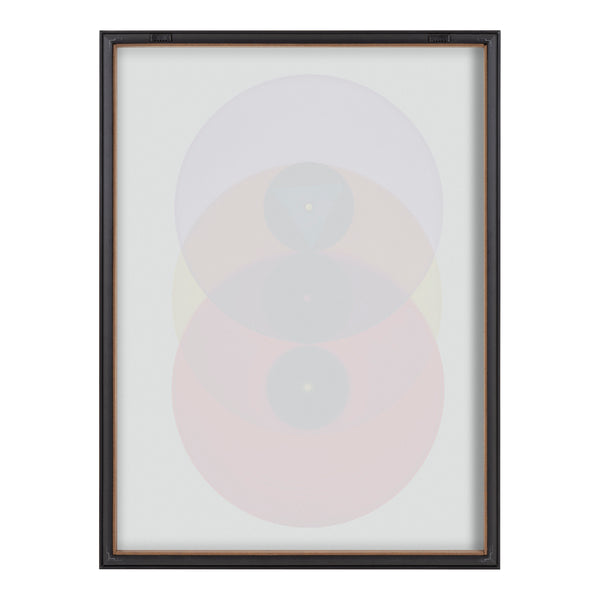 Kate & Laurel Blake Colorful Records Purple Red Framed Printed Glass By Emiko And Mark Franzen Of F2Images