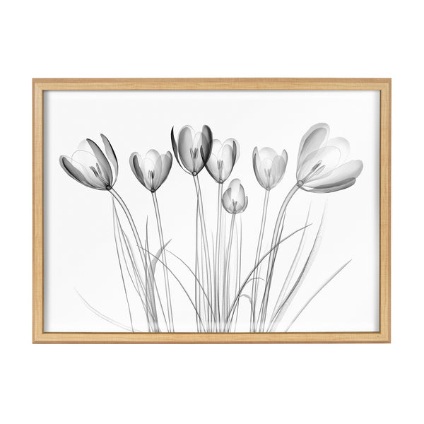 Kate & Laurel Blake Crocus X Ray Floral BW Framed Printed Art By The Creative Bunch Studio