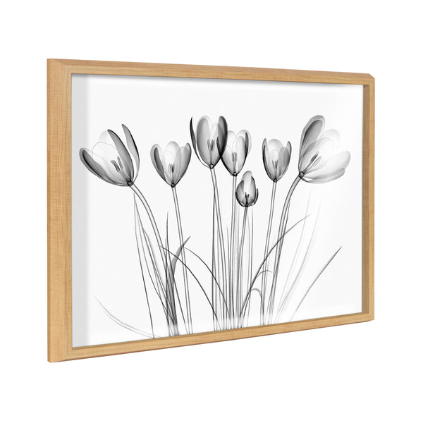 kate & laurel Blake Crocus X Ray Floral BW Framed Printed Art by The Creative Bunch Studio