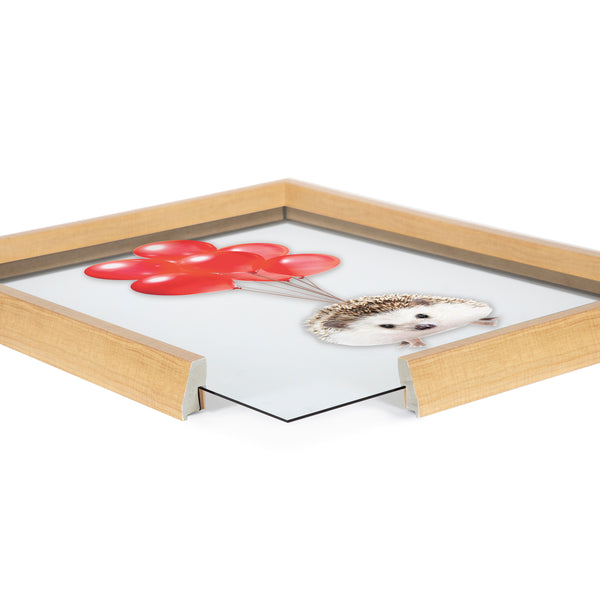 Kate & Laurel Blake Hedgehog Balloons Framed Printed Glass By Amy Peterson Art Studio