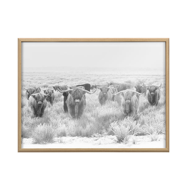 Kate & Laurel Blake Herd Of Highland Cows Framed Printed Art By The Creative Bunch Studio