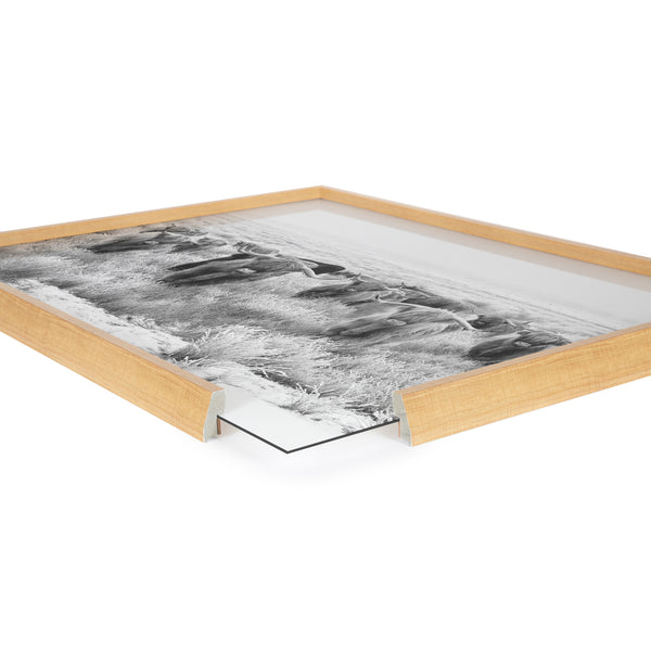 Kate & Laurel Blake Herd Of Highland Cows Framed Printed Art By The Creative Bunch Studio