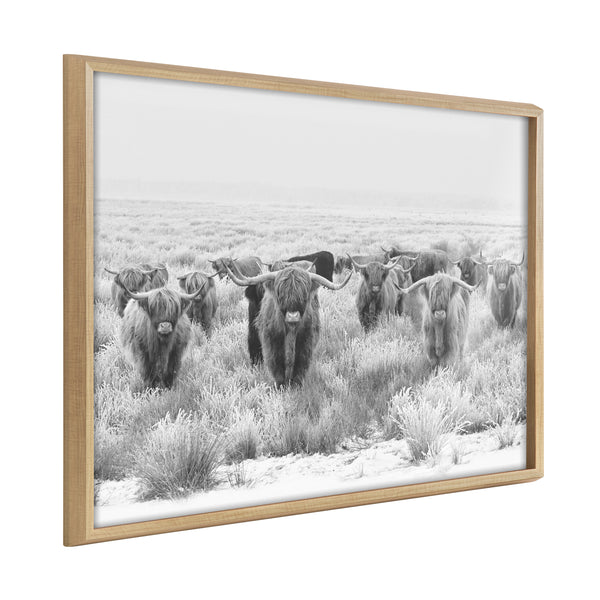 kate & laurel Blake Herd of Highland Cows Framed Printed Art by The Creative Bunch Studio