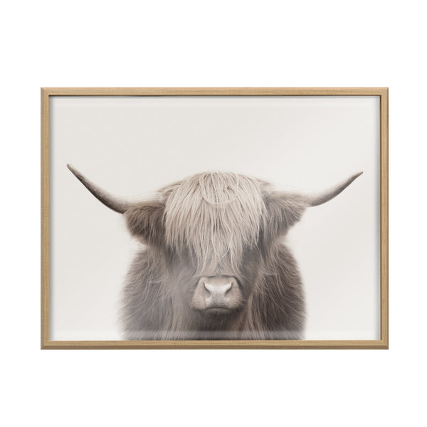 Kate & Laurel Blake Hey Dude Highland Cow Color Framed Printed Art By The Creative Bunch Studio