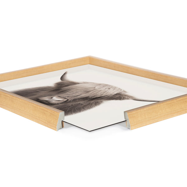 Kate & Laurel Blake Hey Dude Highland Cow Color Framed Printed Art By The Creative Bunch Studio